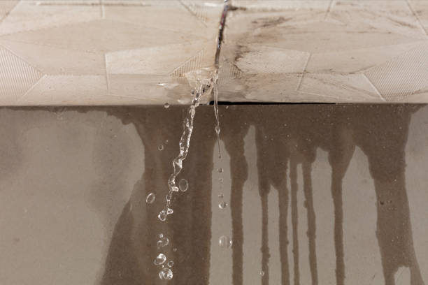 Professional Sewage Cleanup technician working in Algonquin, MD
